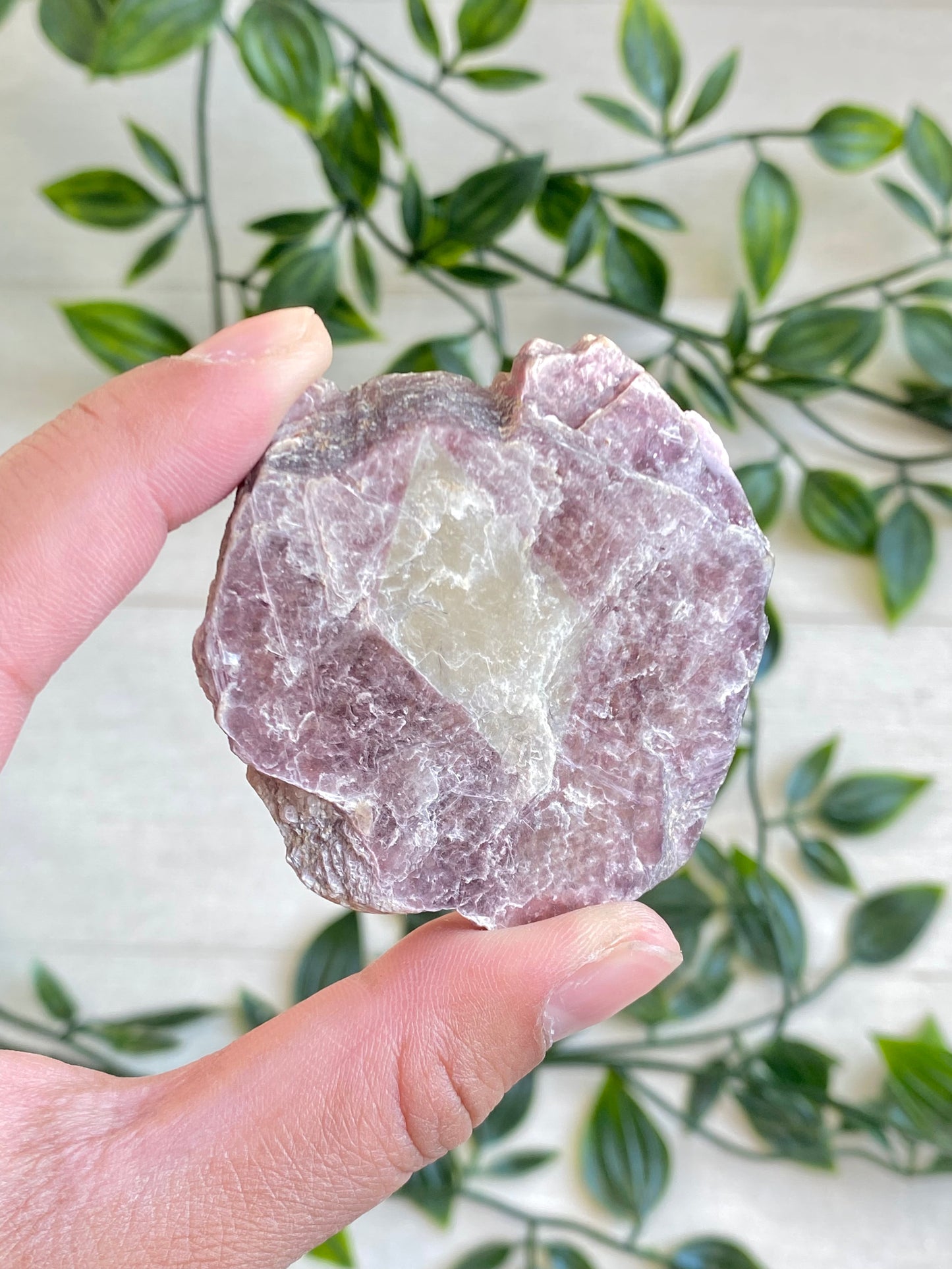 Bi-color Lepidolite Slabs