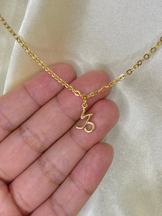 Capricorn Necklace