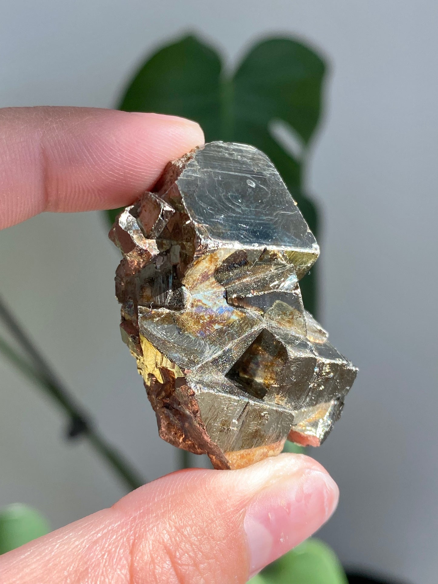 Spanish Cubic Pyrite