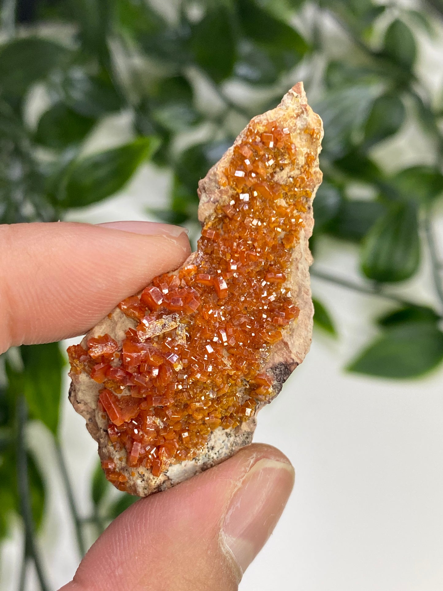 Vanadinite Specimens