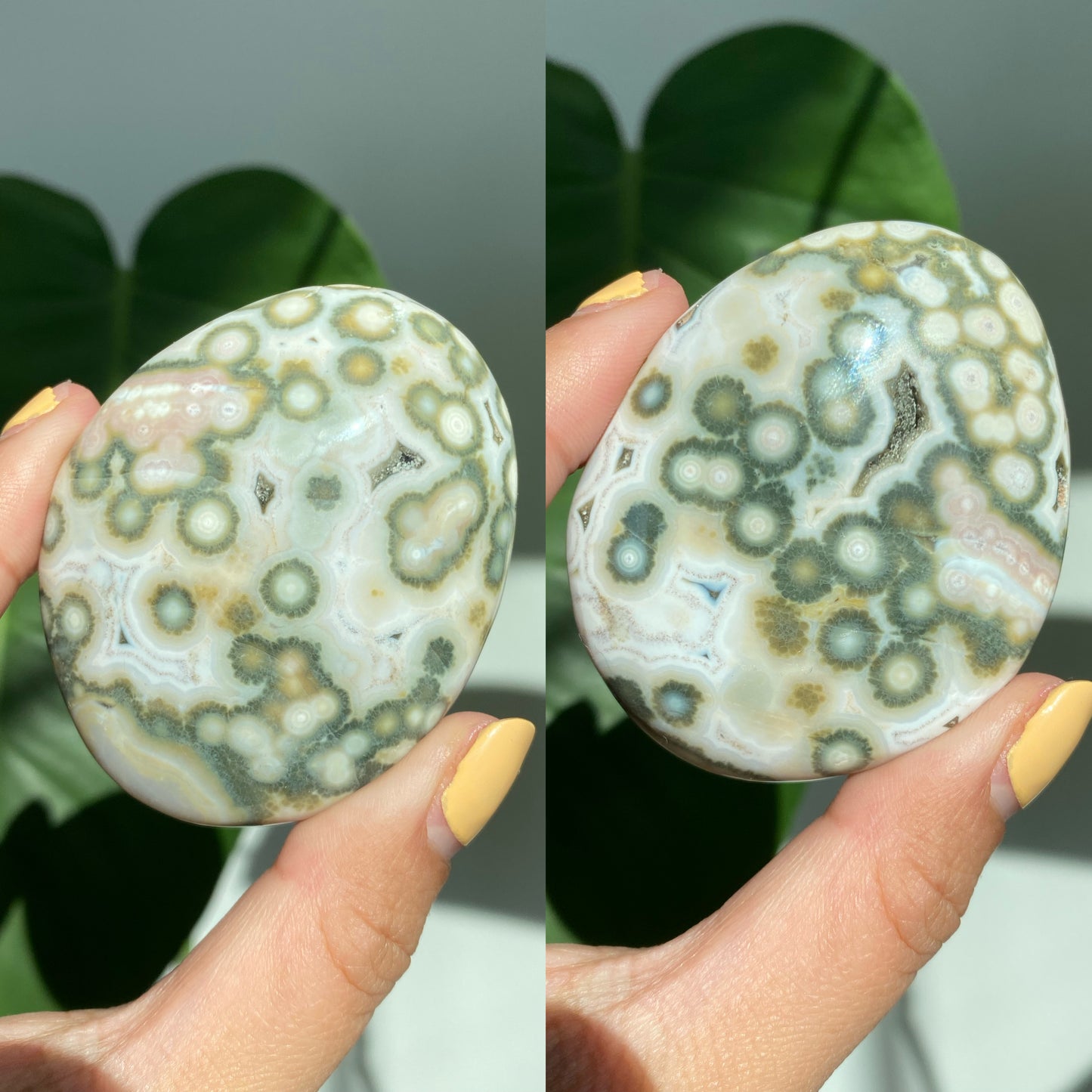 Orbicular Jasper Palm Stones