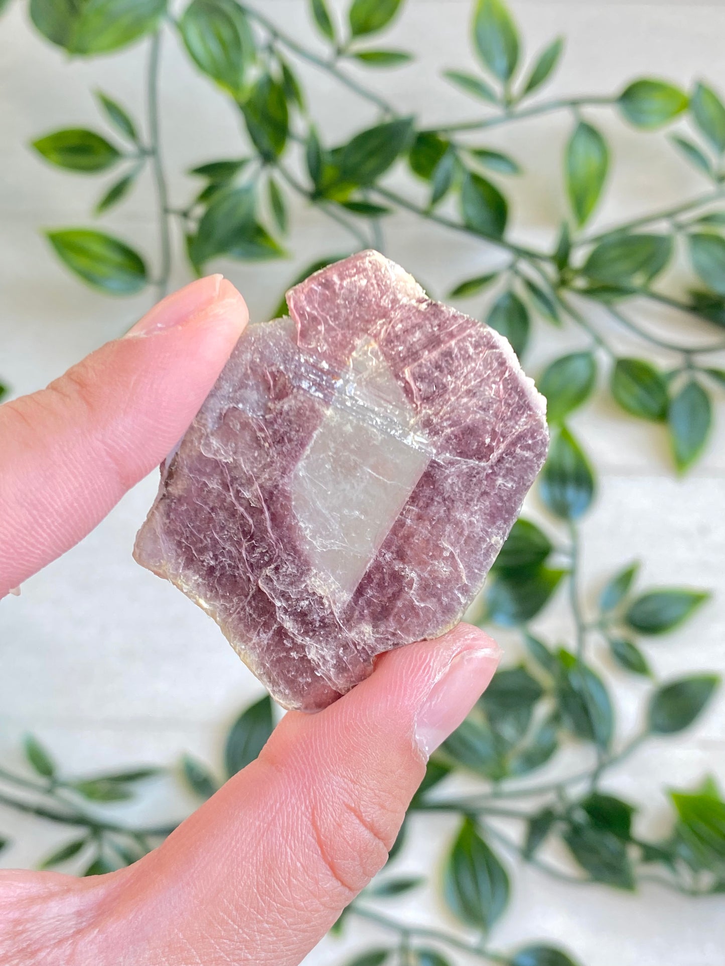 Bi-color Lepidolite Slabs