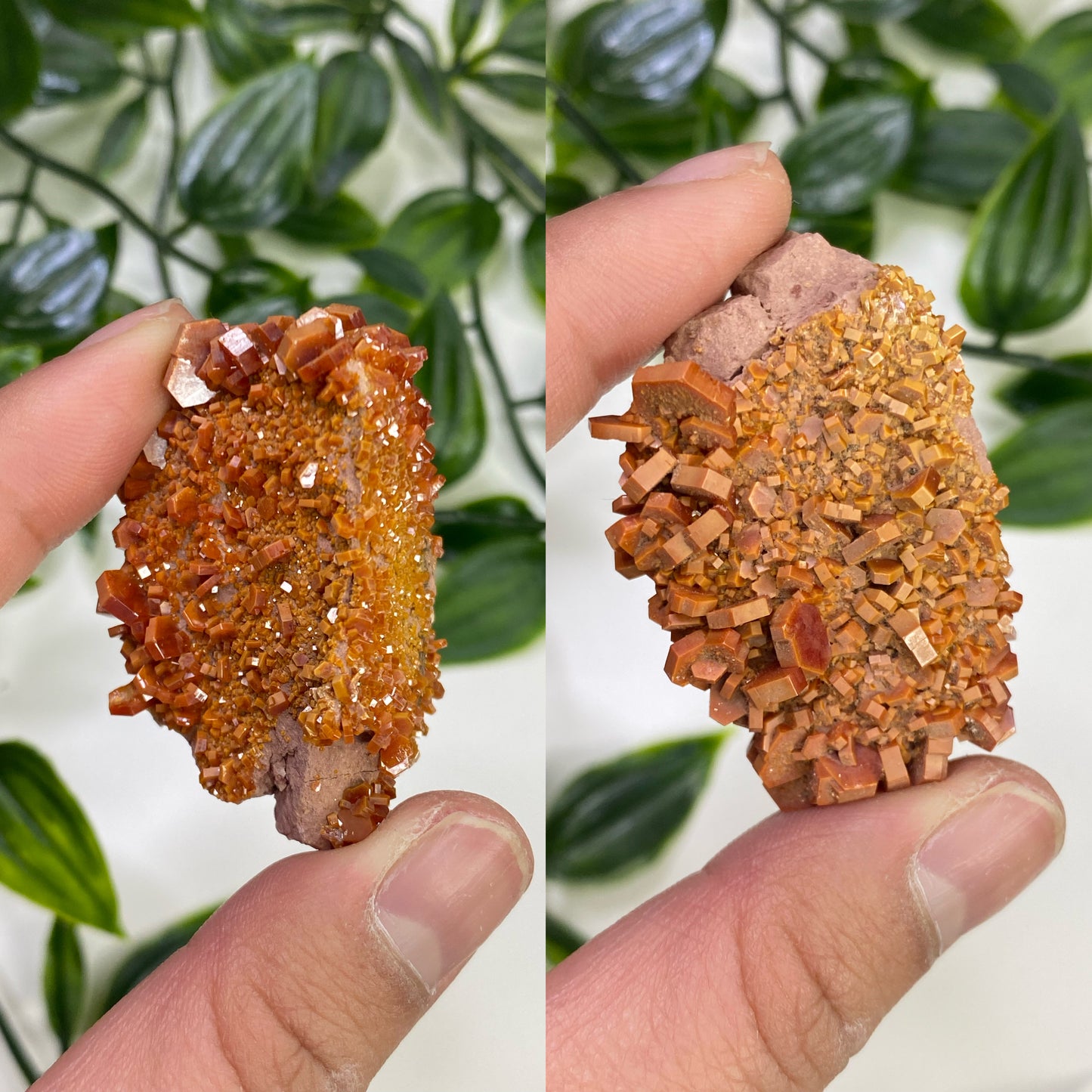 Vanadinite Specimens