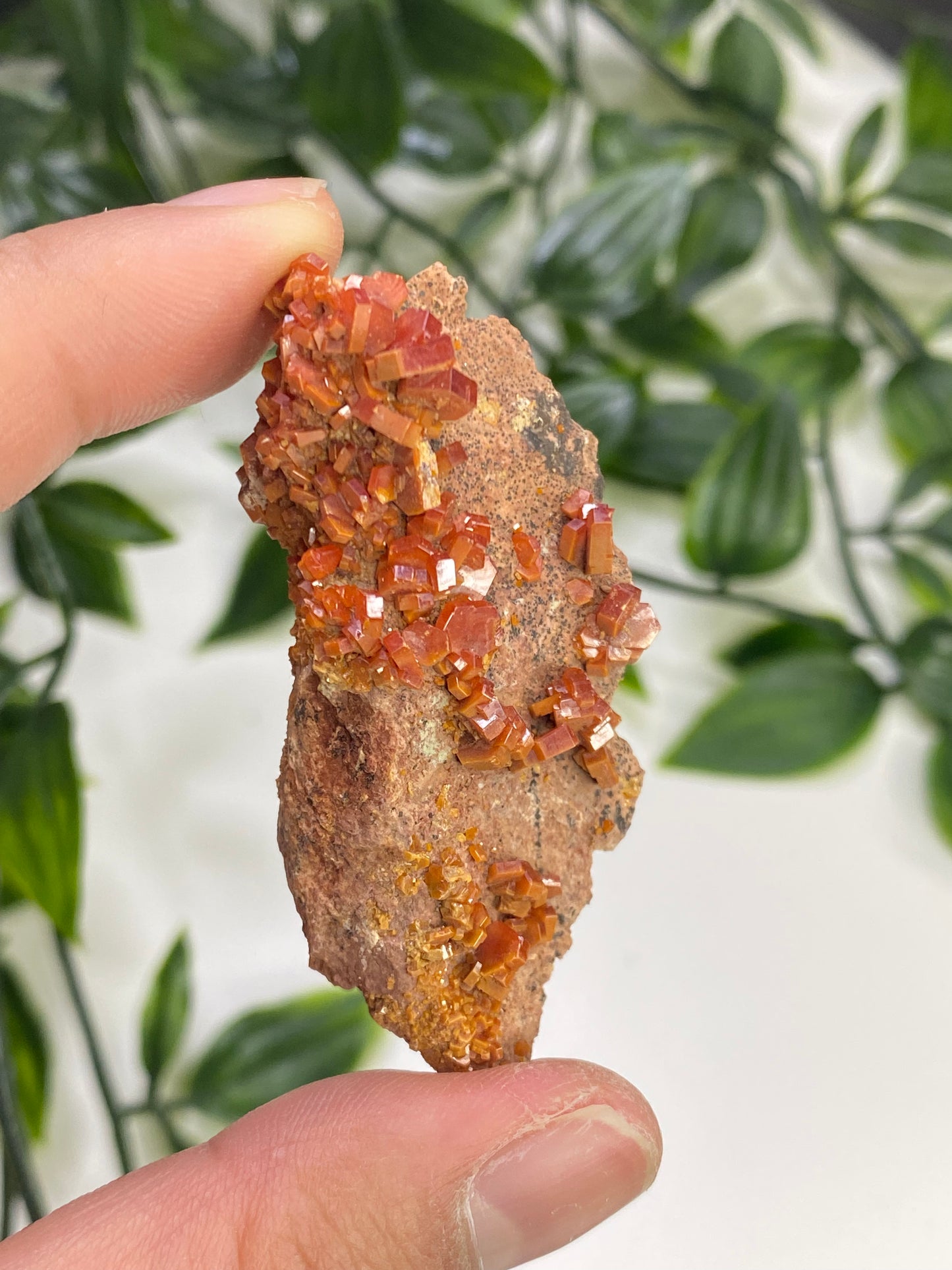 Vanadinite Specimens