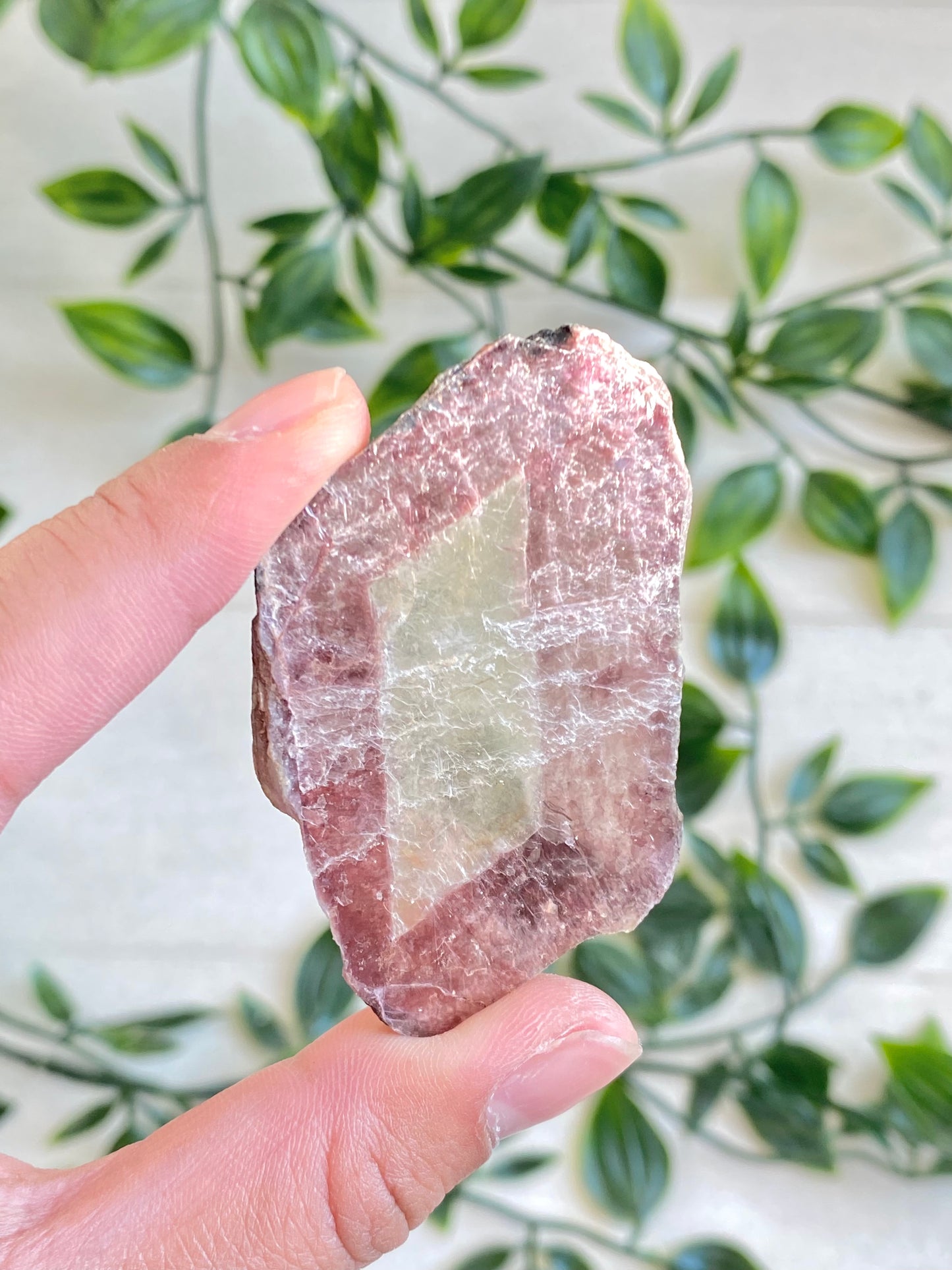 Bi-color Lepidolite Slabs