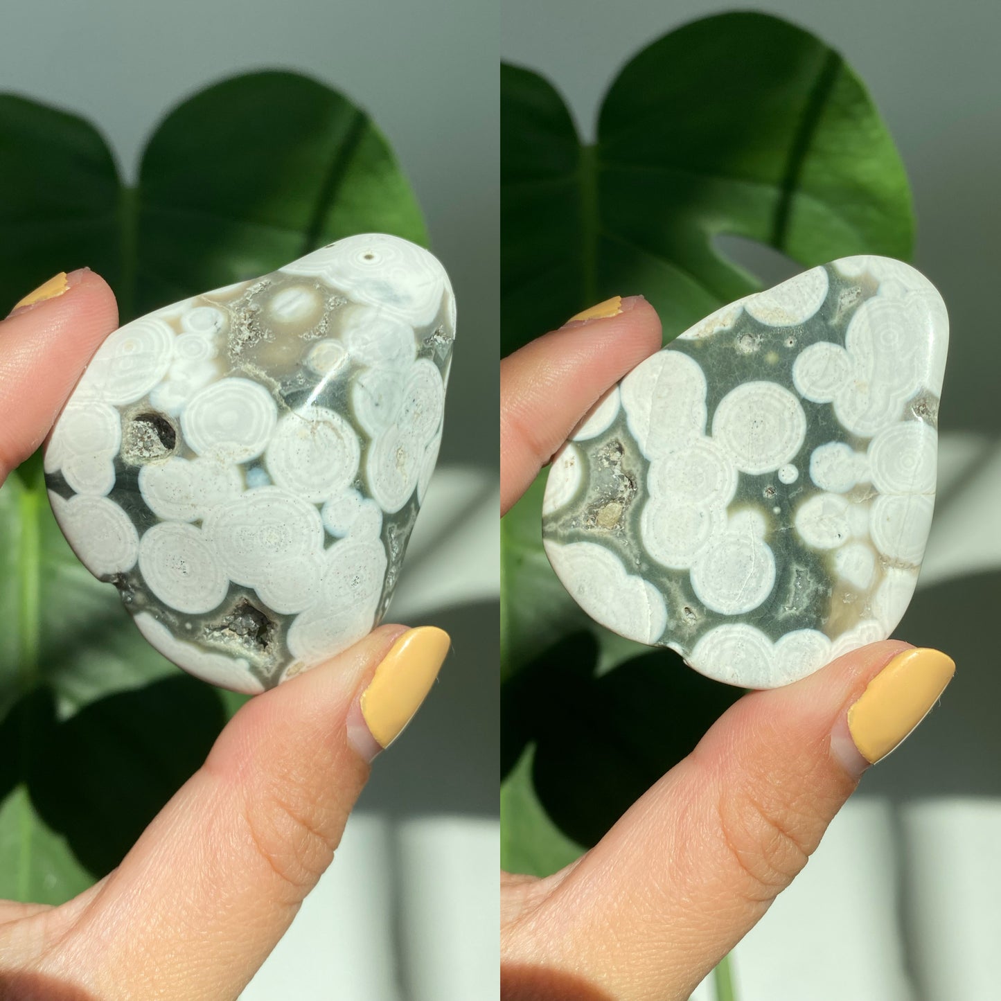 Orbicular Jasper Palm Stones