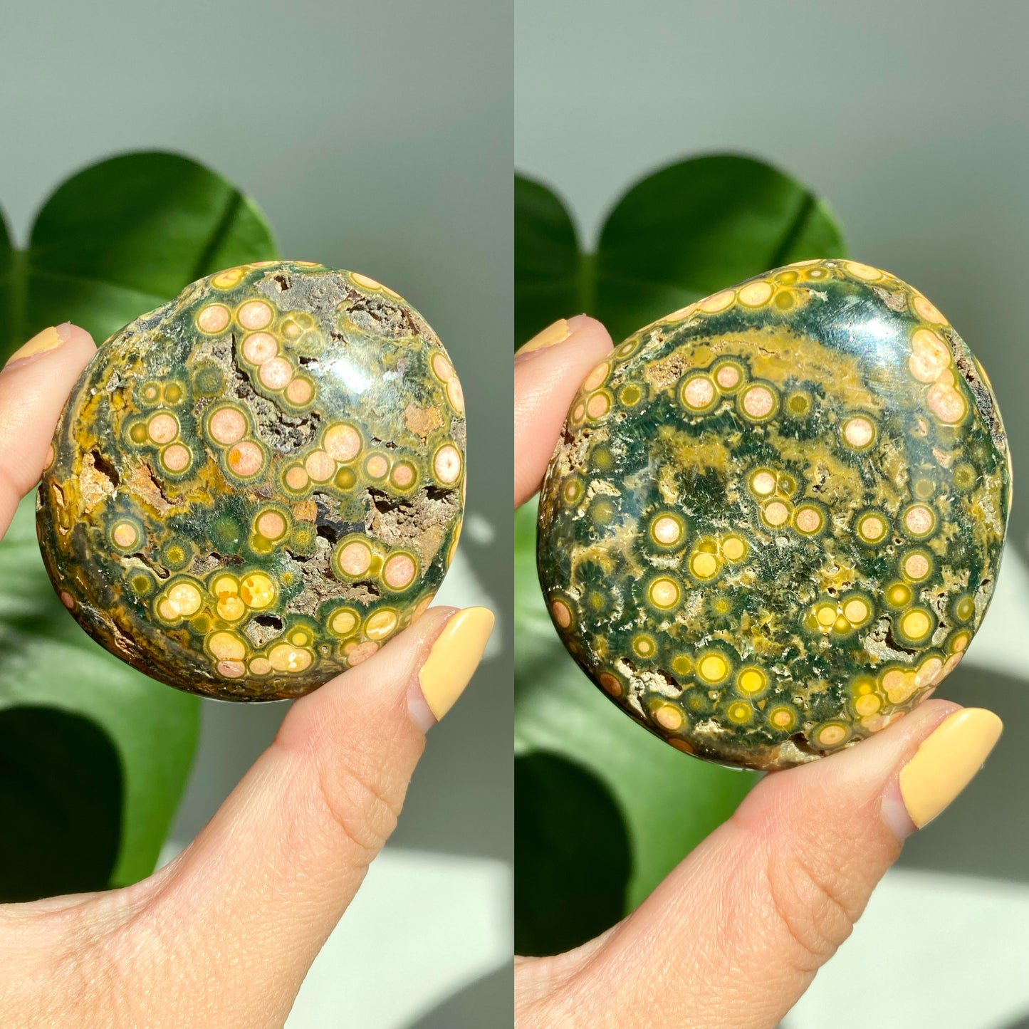 Orbicular Jasper Palm Stones