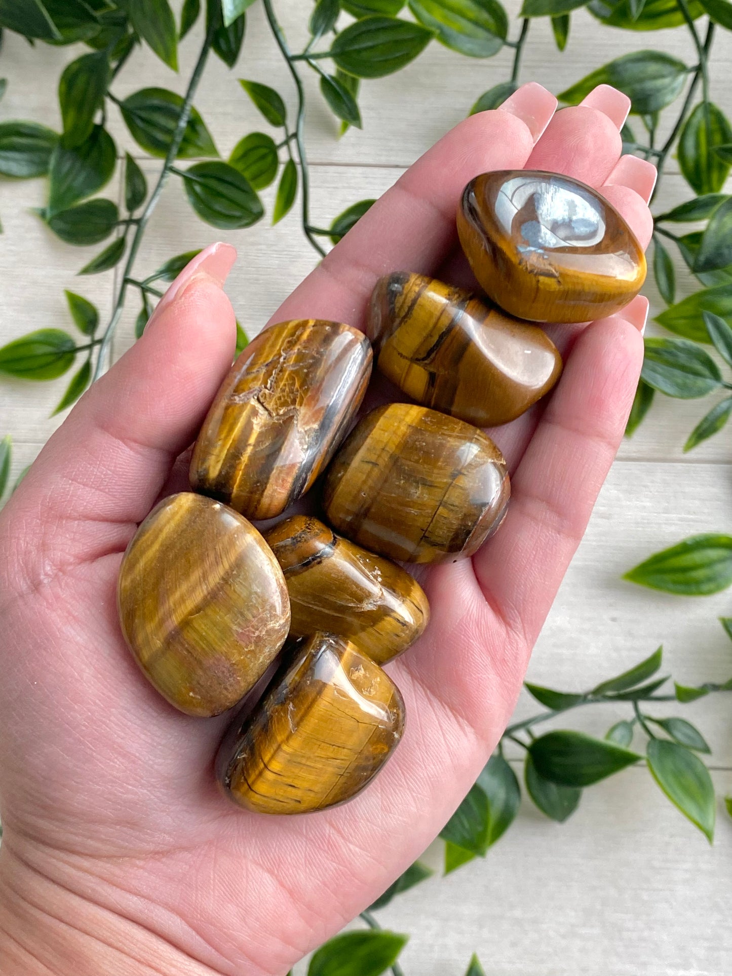 Tiger's Eye Tumbles