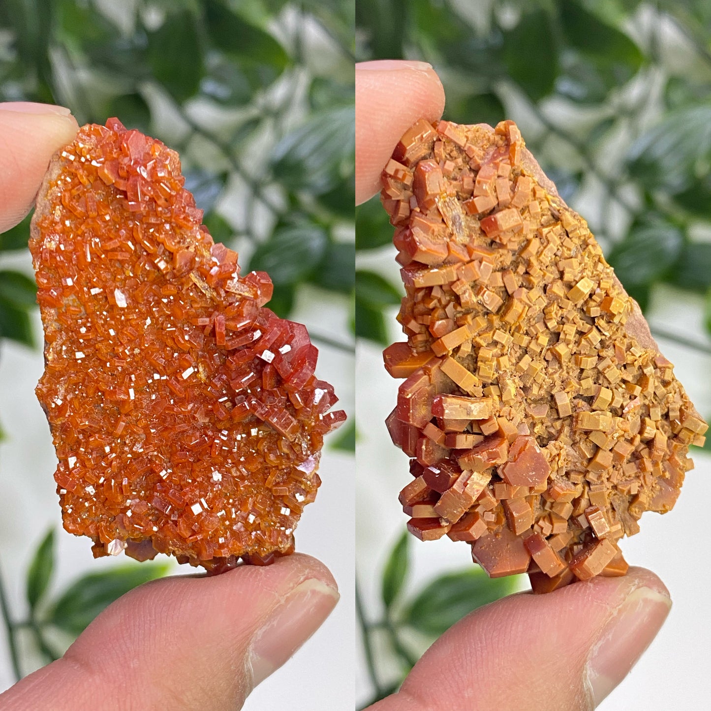 Vanadinite Specimens