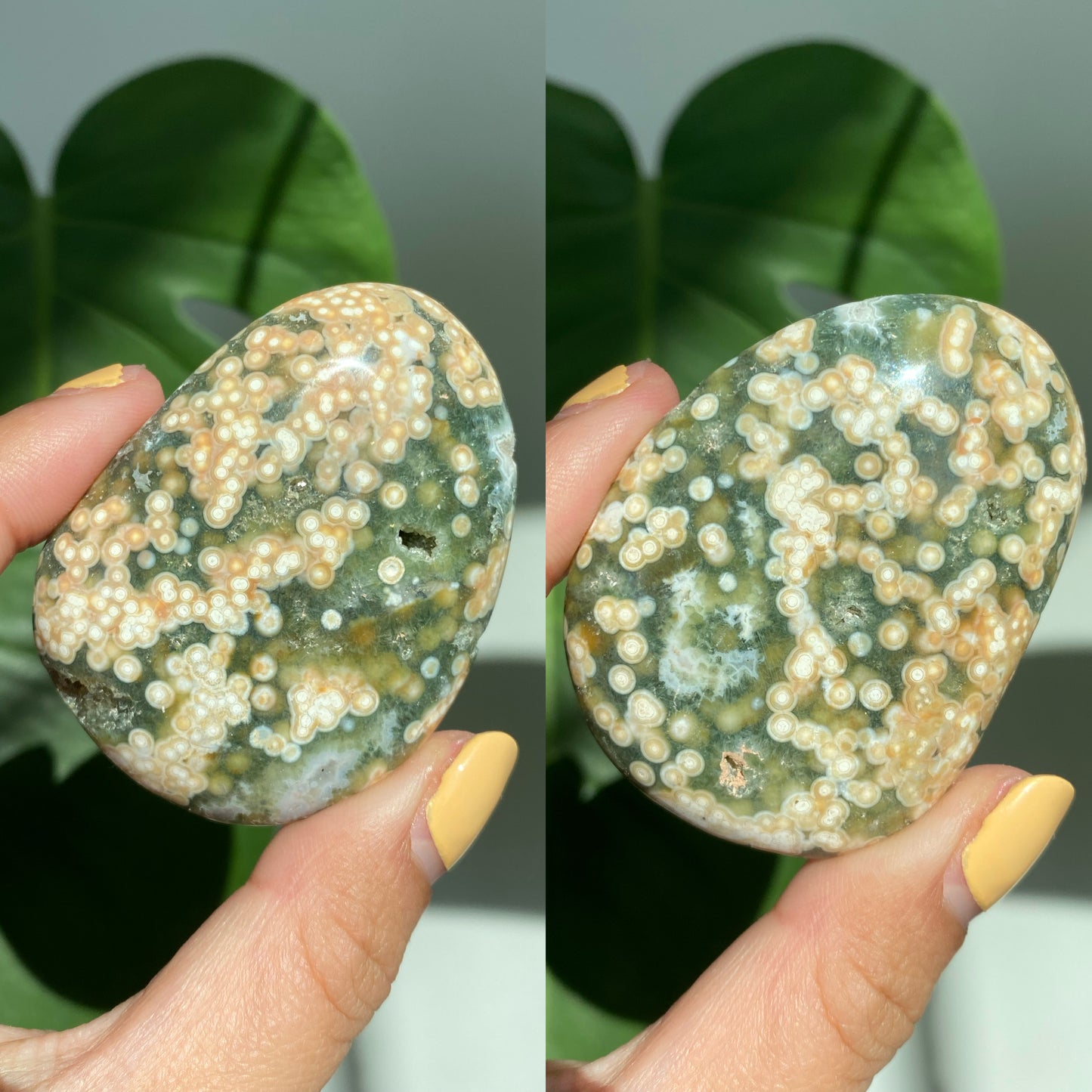 Orbicular Jasper Palm Stones