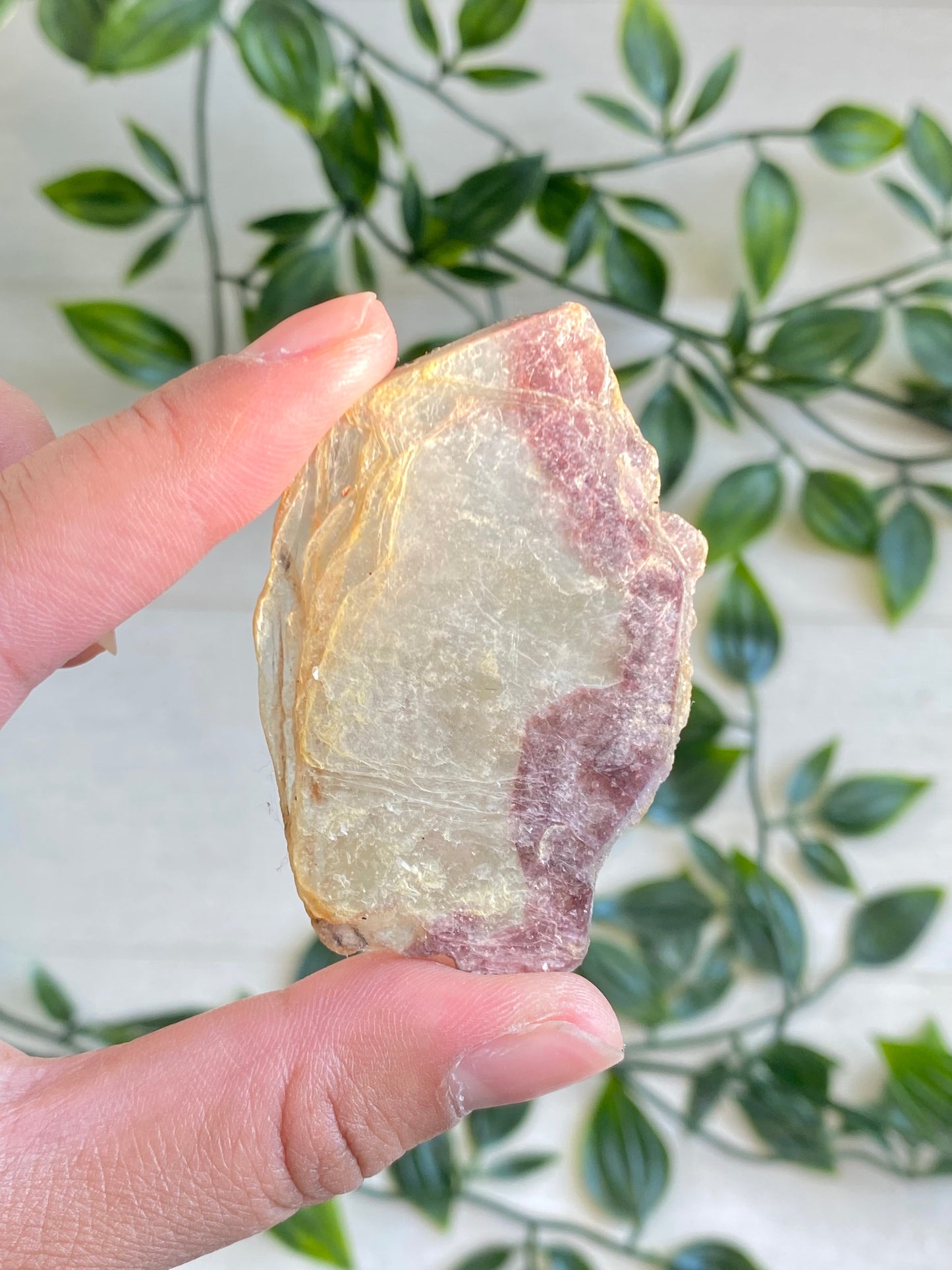 Bi-color Lepidolite Slabs