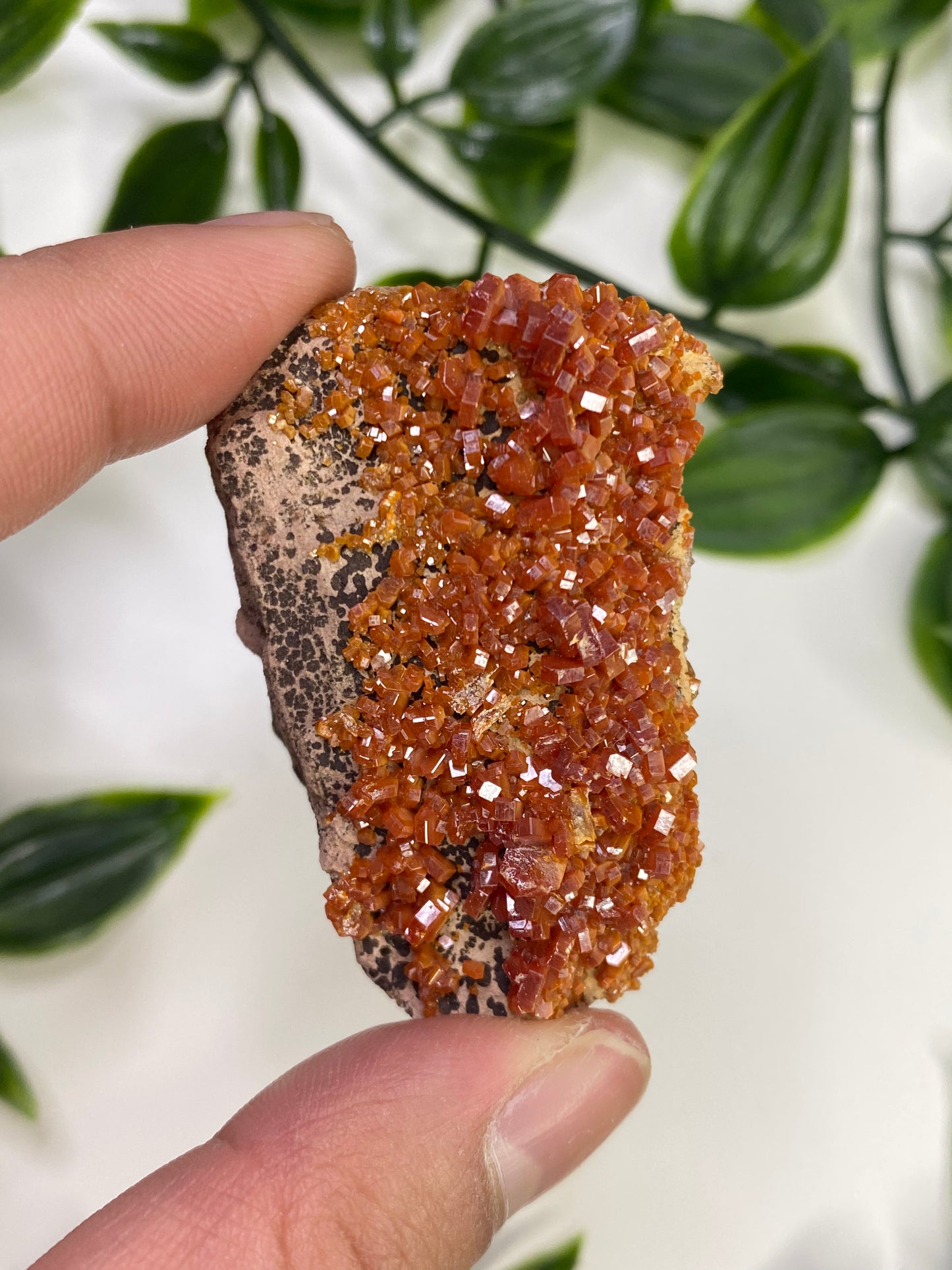 Vanadinite Specimens