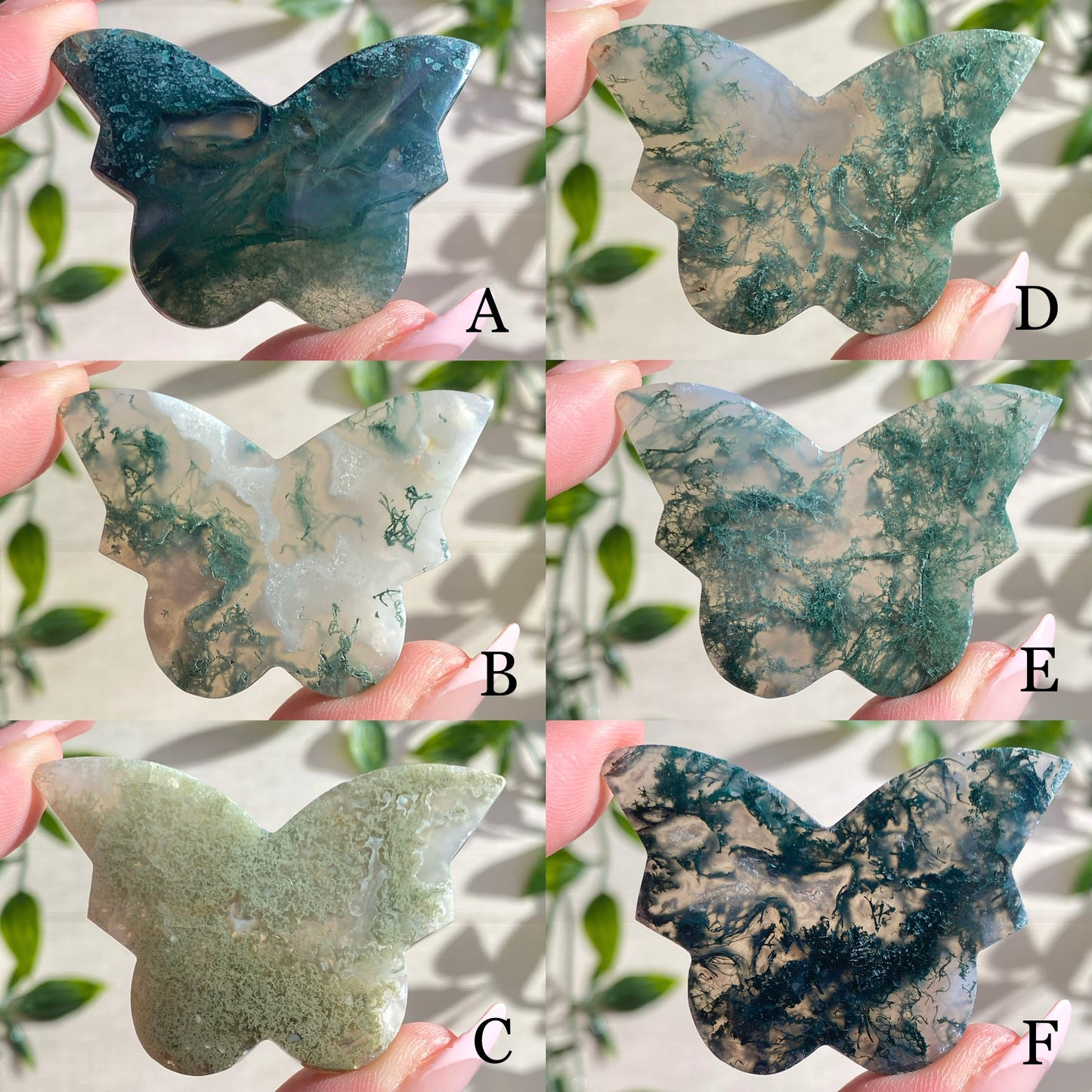 Dreamy Moss Agate Butterflies