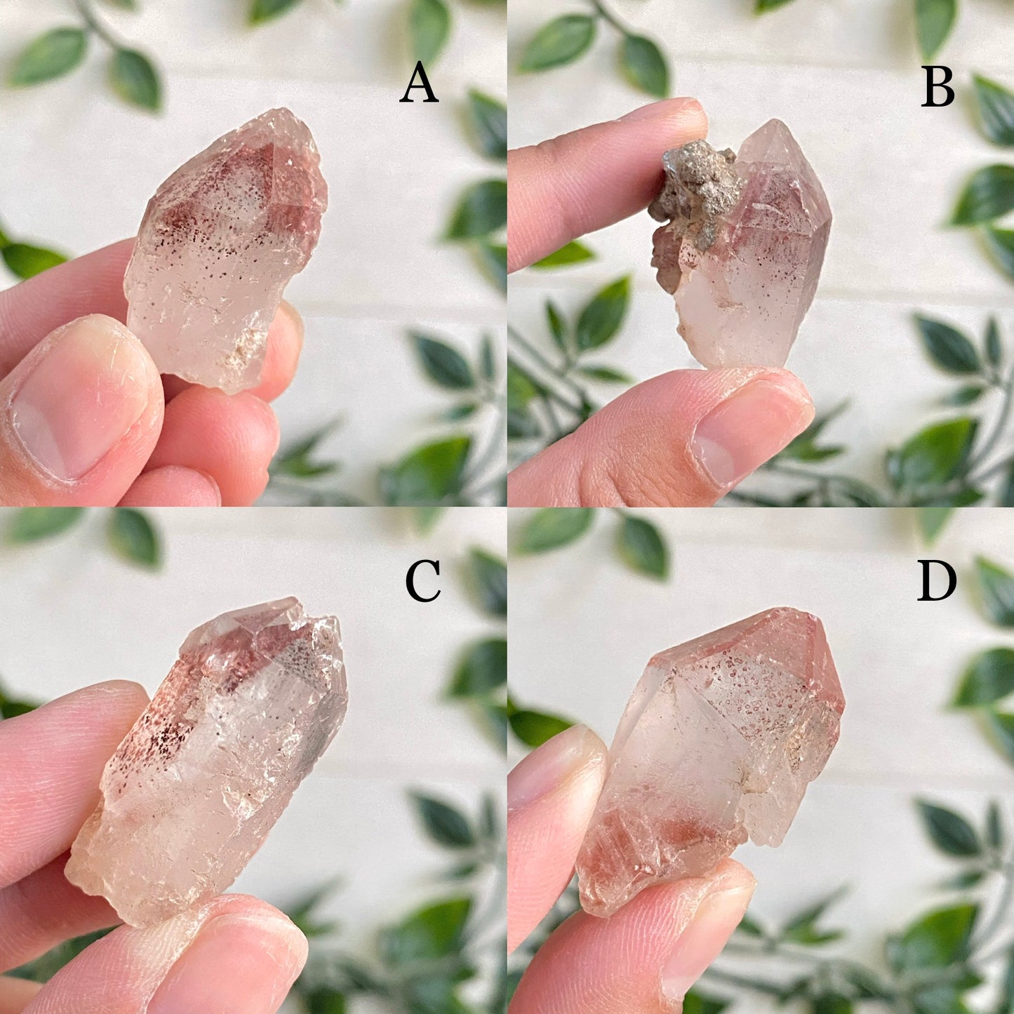 Small Hematoid Phantom Quartz Points