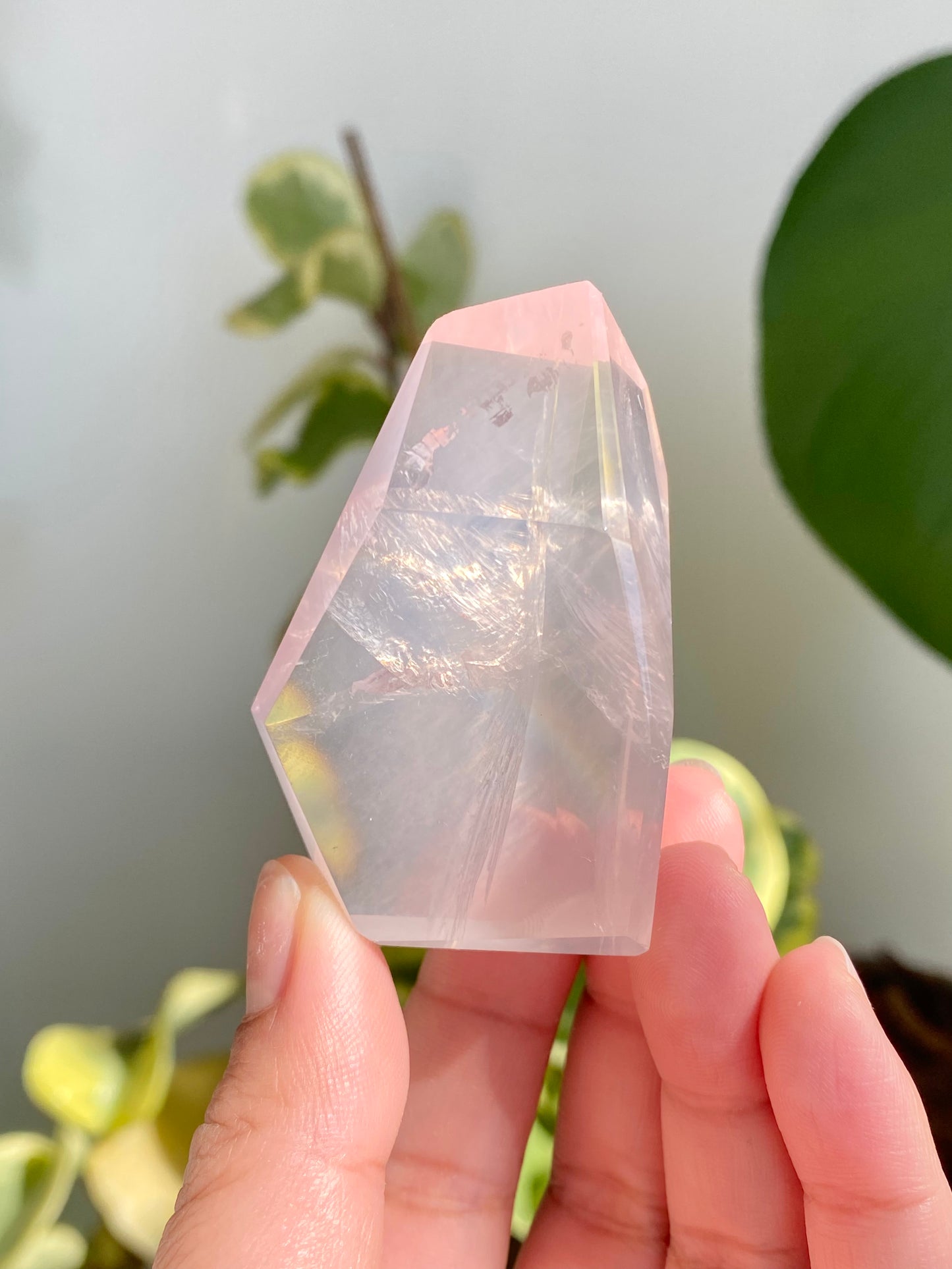 GEMMY Mozambique Rose Quartz Freeforms