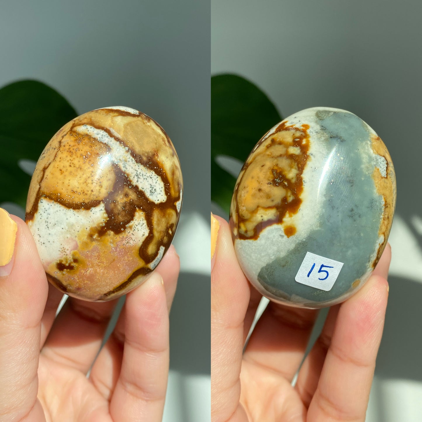 Polychrome Jasper Palm Stones