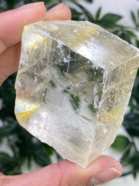 Raw Honey Optical Calcite Cubes