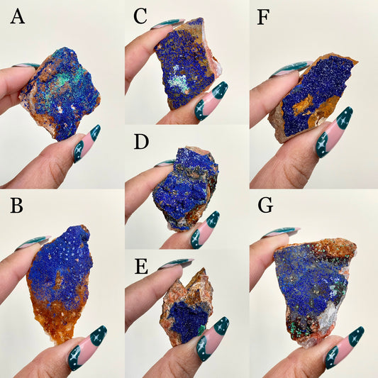 Moroccan Azurite Specimens