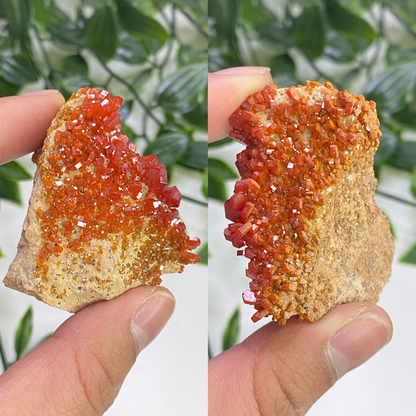 Vanadinite Specimens