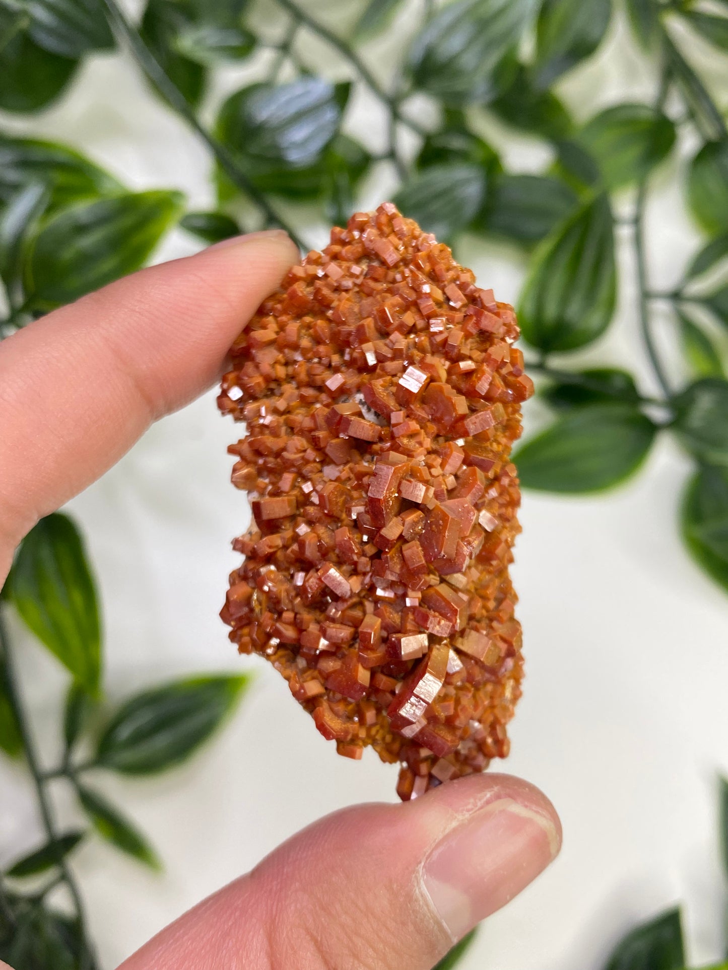 Vanadinite Specimens