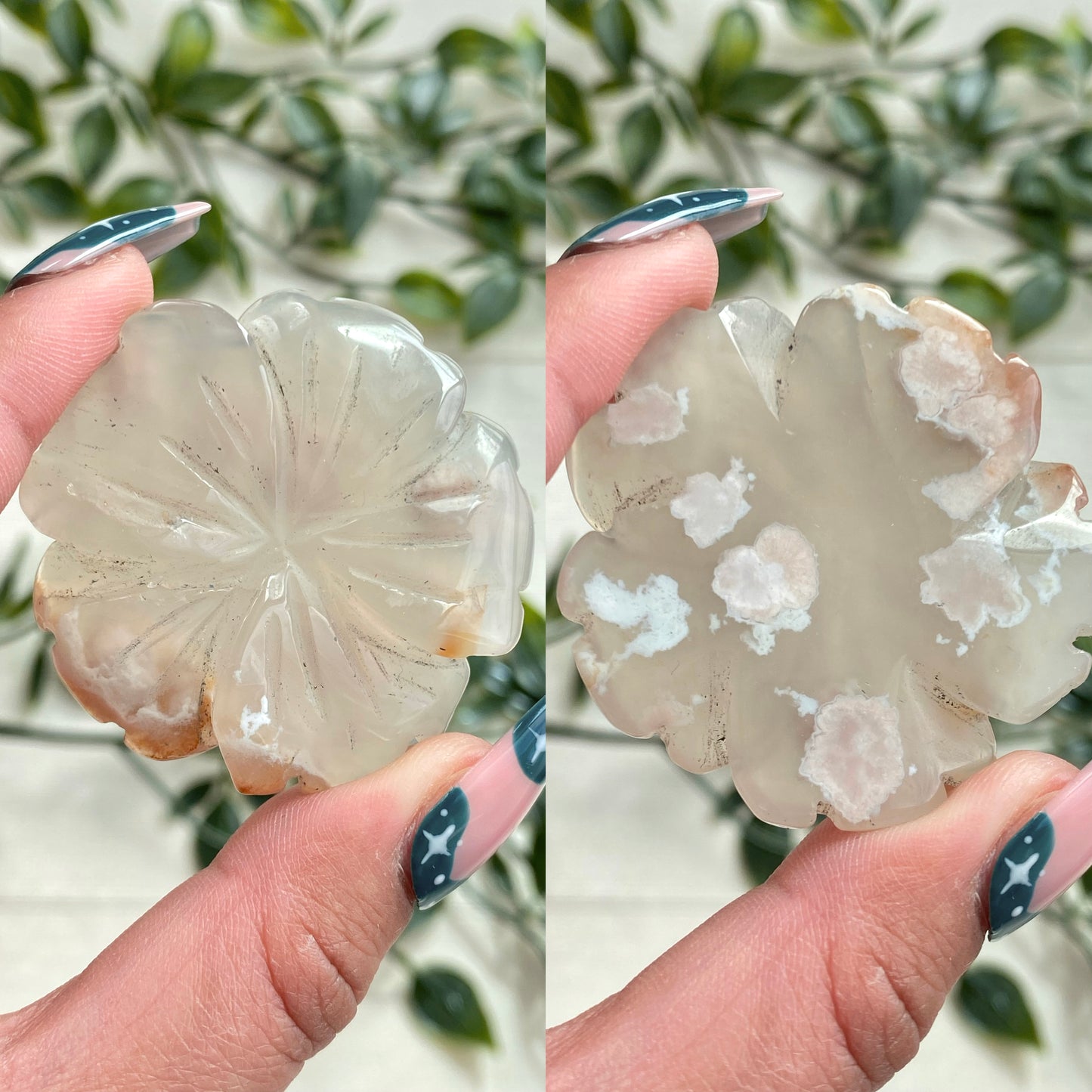 Flower Agate Flowers