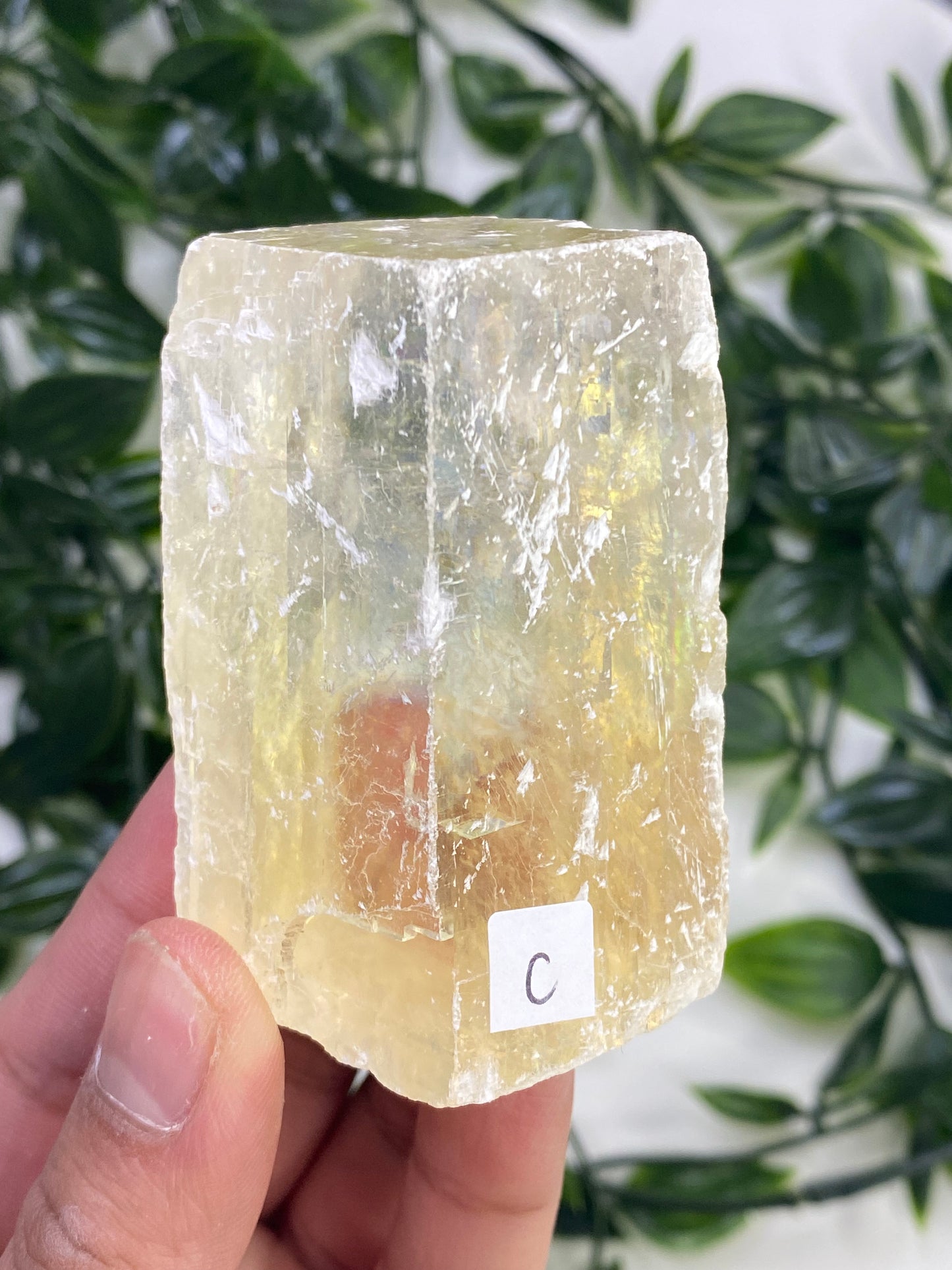 Raw Honey Optical Calcite Cubes