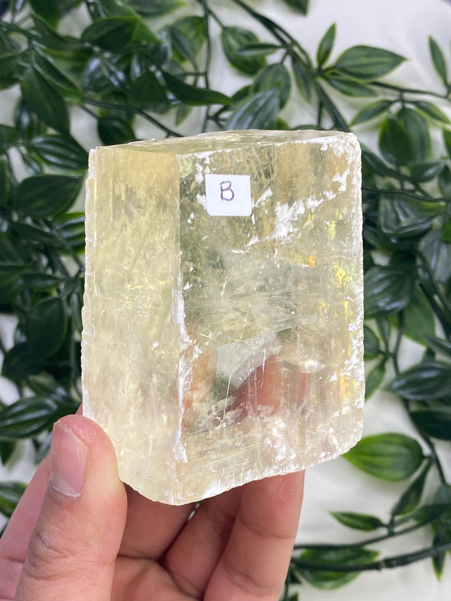 Raw Honey Optical Calcite Cubes