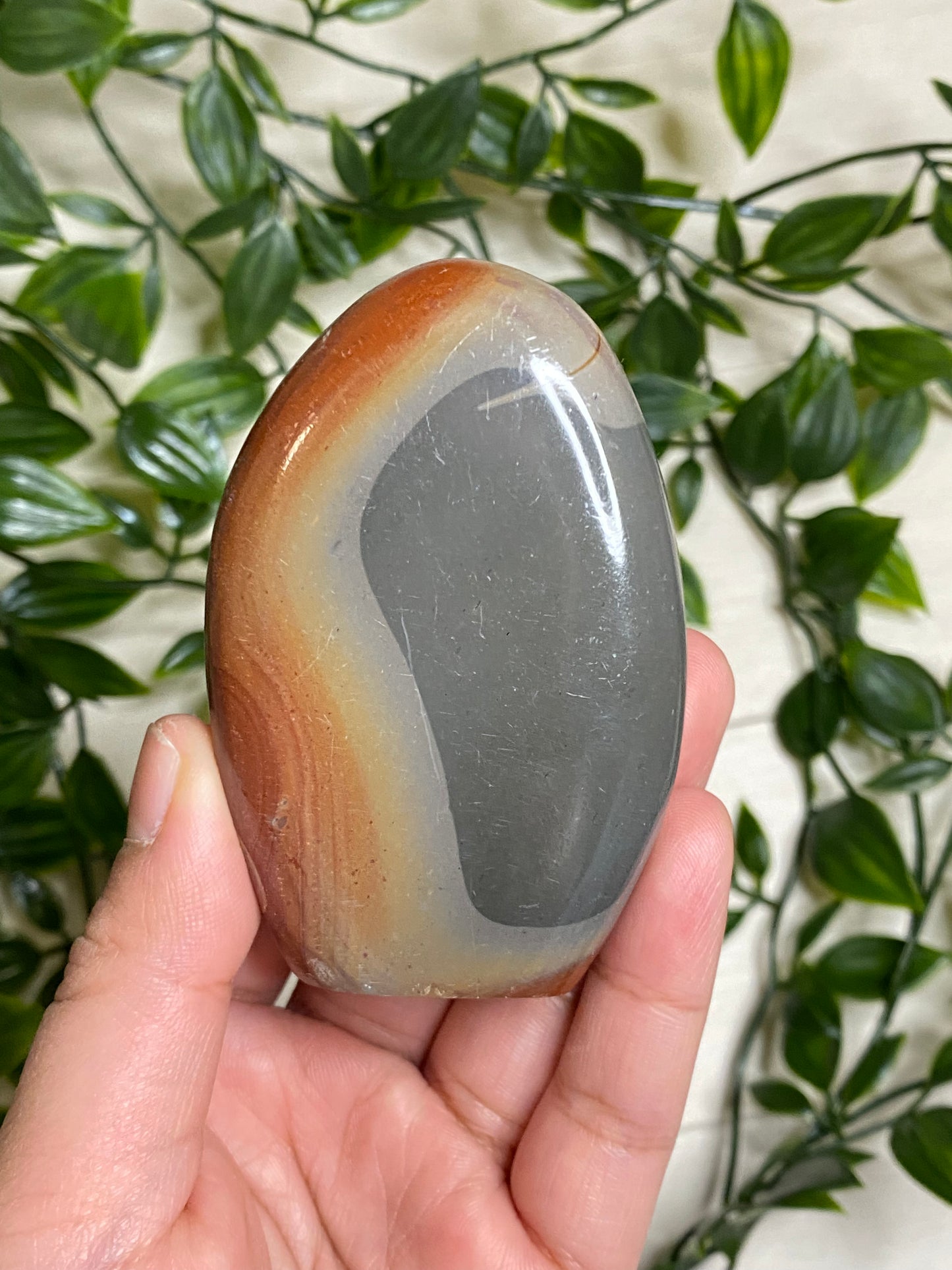 Polychrome Jasper Freeforms