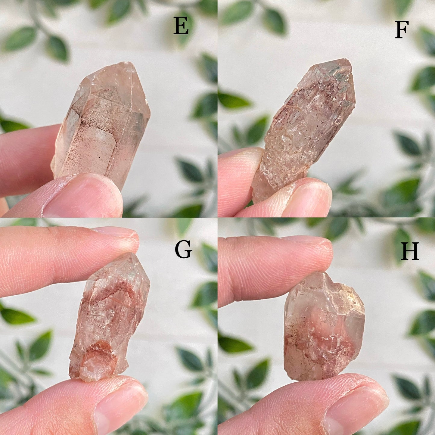 Small Hematoid Phantom Quartz Points