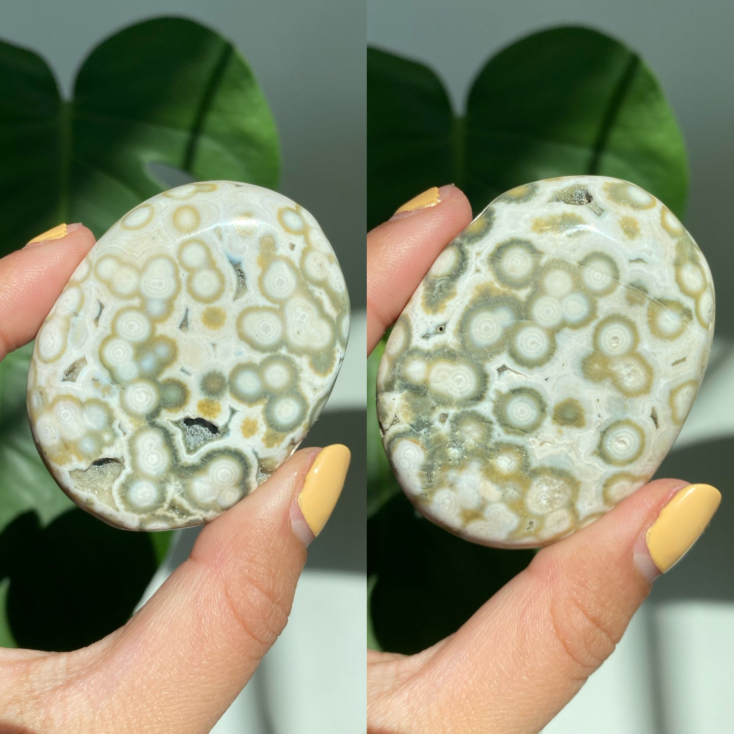 Orbicular Jasper Palm Stones